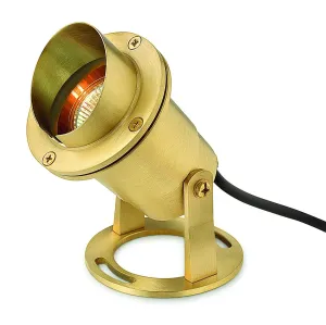Accent Pond Light LED Landscape Spot in Brass Outdoor Landscape Lighting