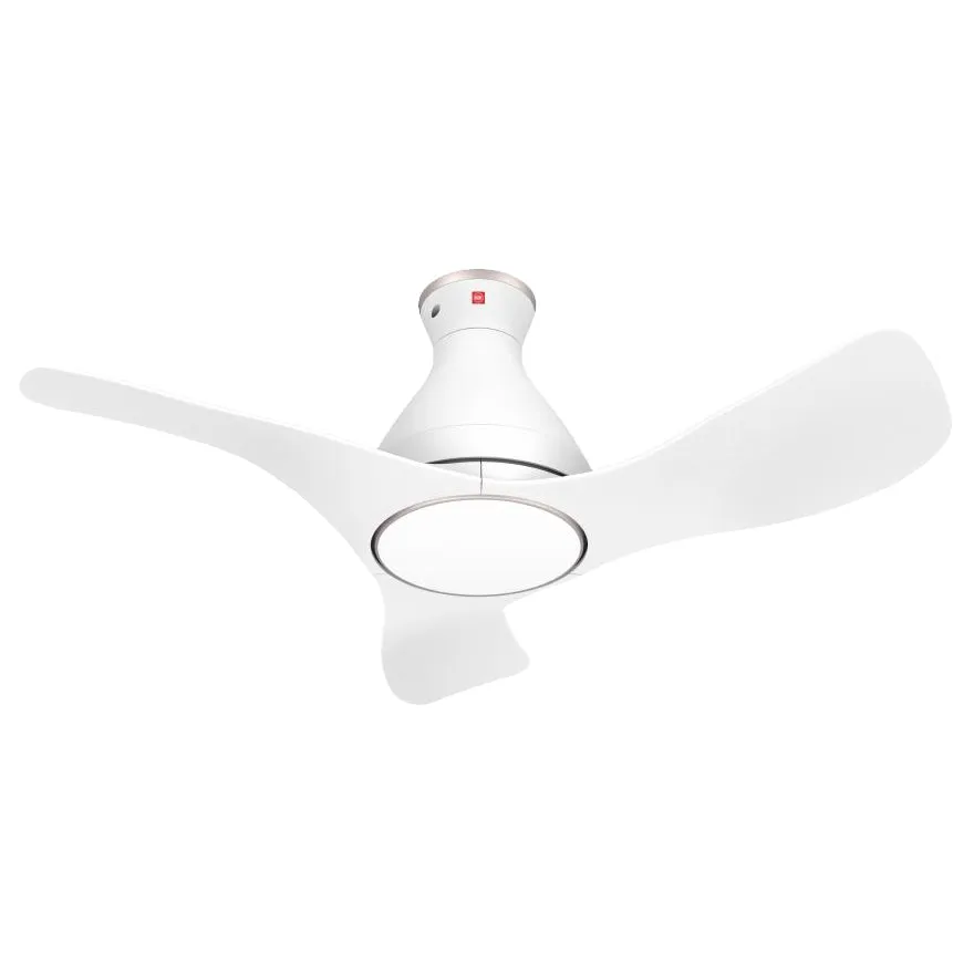 AIRY 40" SMART DC CEILING FAN WITH LIGHT Ceiling Fans summer sale