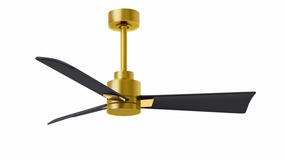 Alessandra 42"Ceiling Fan Brushed Brass Exterior Fans FANS clearance sale