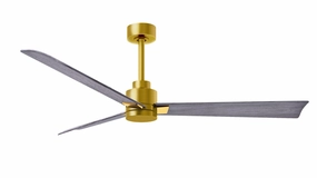 Alessandra 56"Ceiling Fan Brushed Brass Exterior Fans FANS clearance sale