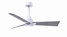 Alessandra - LK 42"Ceiling Fan Matte White Small Fans FANS hot deal