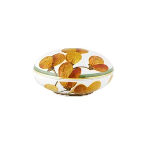 Amazonia Round Box Jewelry Trays Organizer Pack