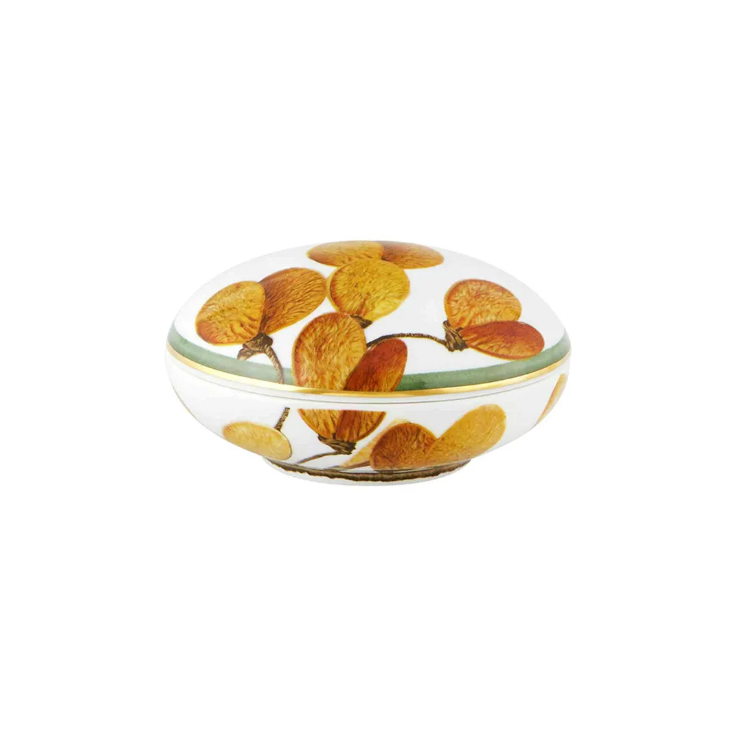 Amazonia Round Box Jewelry Trays Organizer Pack