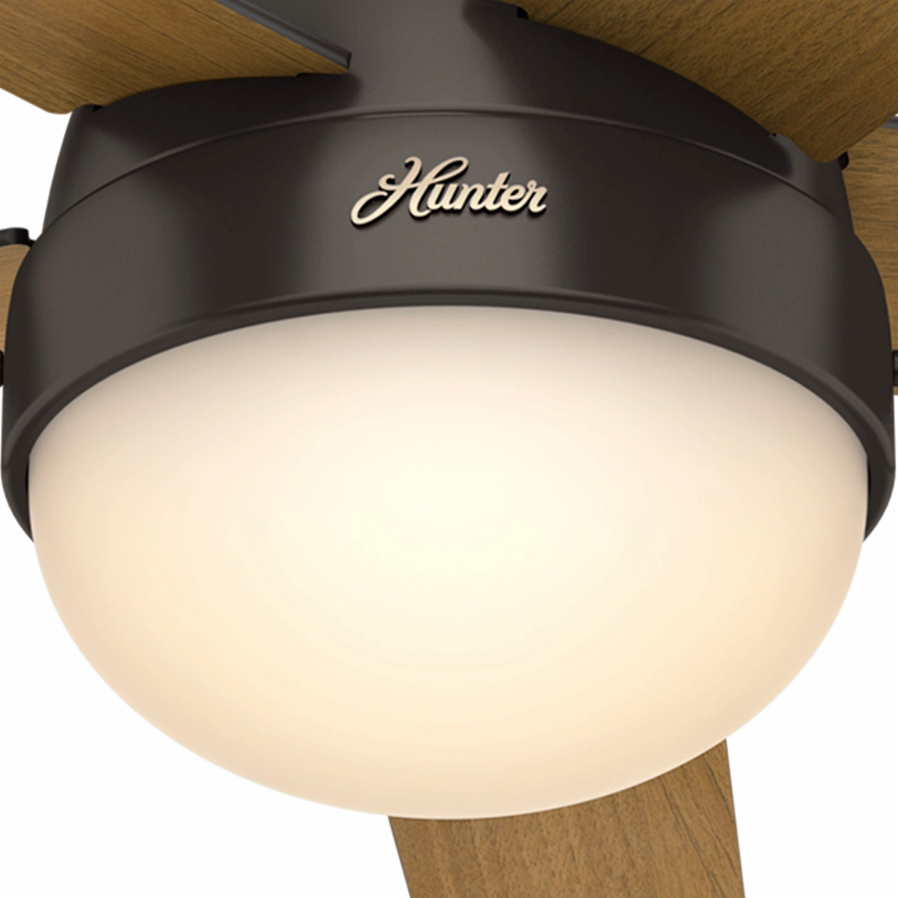 Anslee 46"Ceiling Fan Premier Bronze Small Room Fans sale