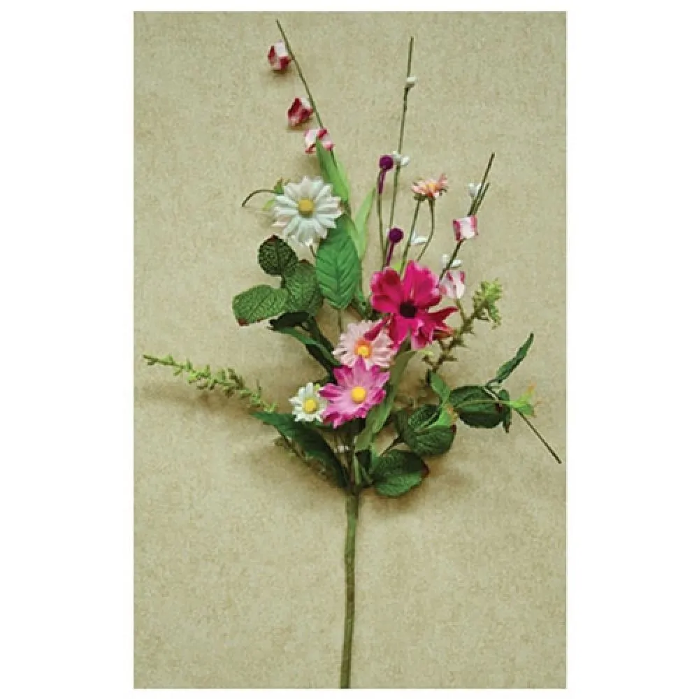 Aster Daisy Pick