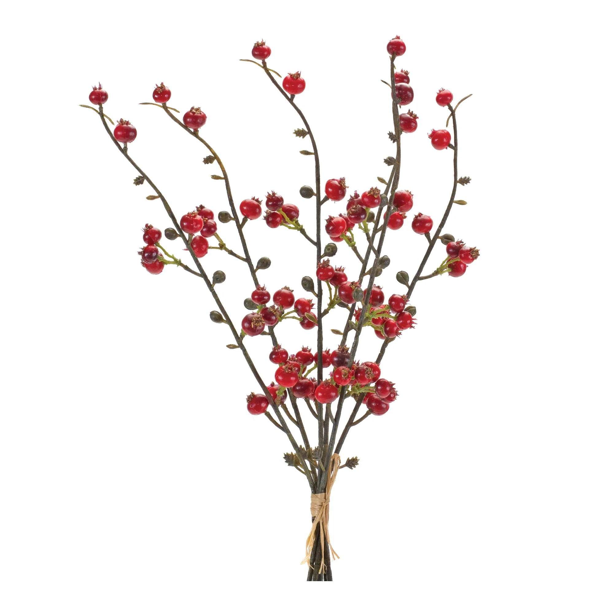 Berry Bundle (Set of 6) 14"H Plastic Affordable Holiday Accessories
