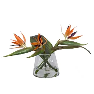Birds-of-Paradise in Vase, Small Artificial Flowers Spring Refresh