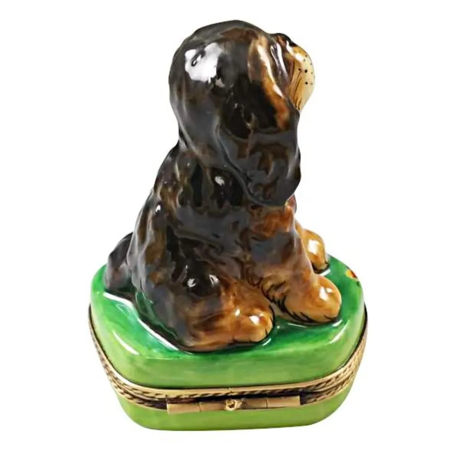 Black & Tan King Charles Spaniel Limoges Limoges Boxes collectors shop
