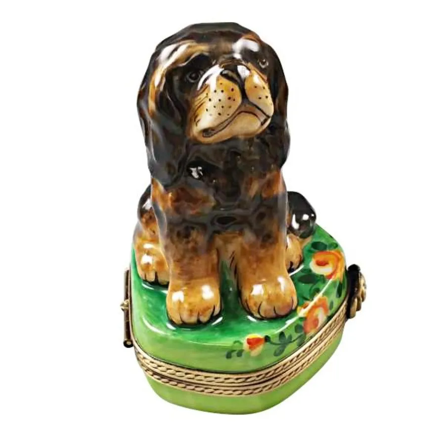 Black & Tan King Charles Spaniel Limoges Limoges Boxes collectors shop