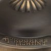 Briarwood 22"Ceiling Fan Antique Bronze Fandeliers at discount prices
