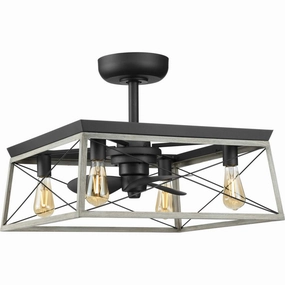 Briarwood 22"Ceiling Fan Graphite Fandeliers FANS on sale now