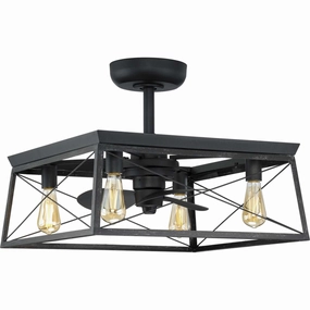 Briarwood 22"Ceiling Fan Matte Black Fandeliers FANS on sale now