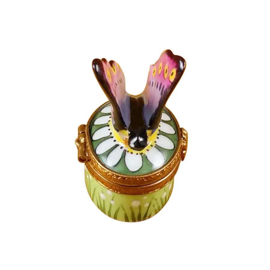 Butterfly on Daisy Limoges Limoges Boxes collectors shop