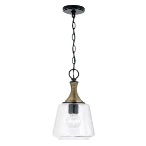 Capital Lighting One Light Pendant Modern Ceiling Lighting sale