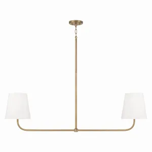 Capital Lighting Two Light Island Pendant Modern Ceiling Lighting sale