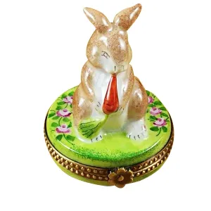 Carrot-Nibbling Rabbit Limoges Collectible Boxes Rare Find