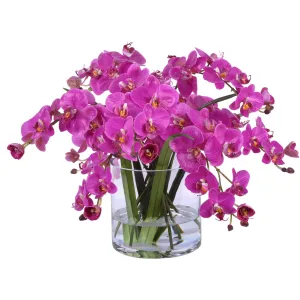 Cascading Orchids Artificial Flowers Spring Refresh