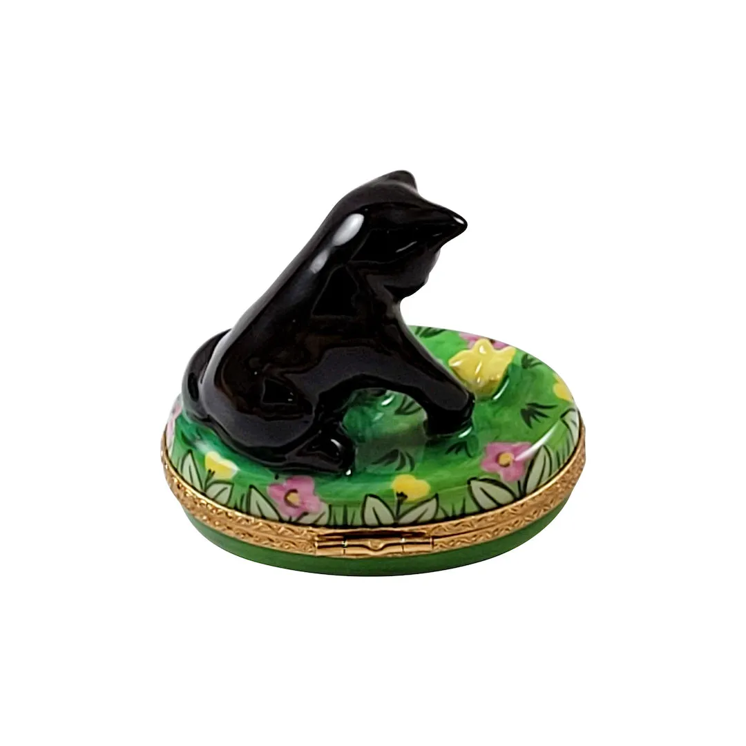 Cat with Butterfly Limoges Limoges Boxes collectors shop