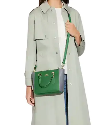 Coach Alice Satchel In Colorblock