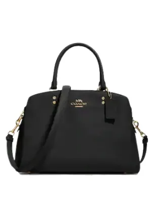 Coach Lillie Carryall