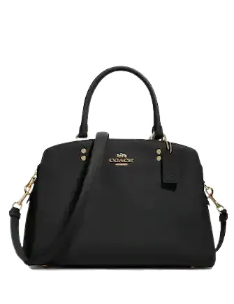 Coach Lillie Carryall