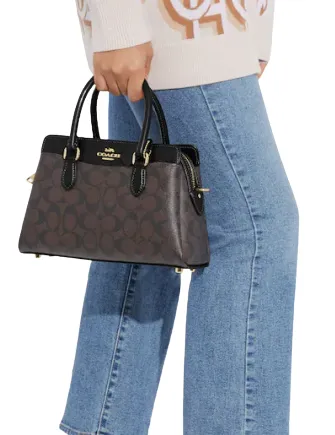 Coach Mini Darcie Carryall In Signature Canvas