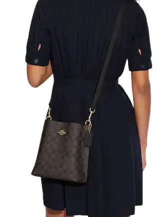 Coach Mollie Bucket Bag 22 In Signature Canvas