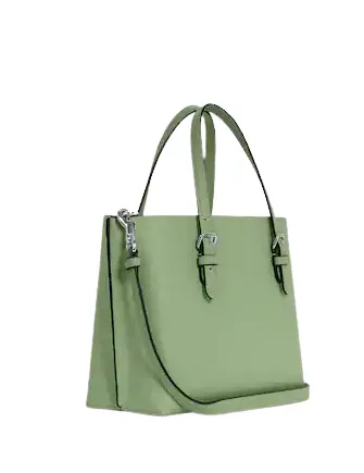 Coach Mollie Tote 25