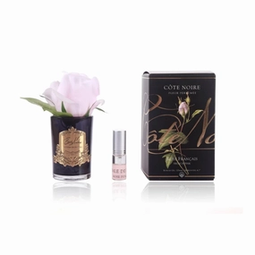 Cote Noire Perfumed Rose Bud French Pink - Black Glass Cote Noire Home Fragrance sale