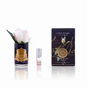 Cote Noire Perfumed Rose Bud Pink Blush - Black Glass Cote Noire Home Fragrance sale