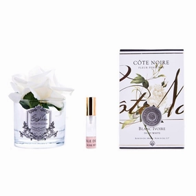 Cote Noire Perfumed Single French Rose Ivory - White Glass Cote Noire Home Fragrance sale