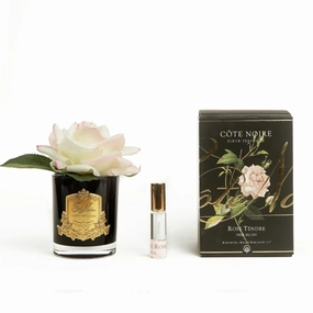 Cote Noire Perfumed Single Rose Pink - Blush Black Glass Cote Noire Home Fragrance sale