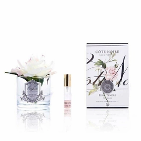 Cote Noire Perfumed Single Rose Pink - Blush Frost Glass Cote Noire Home Fragrance sale