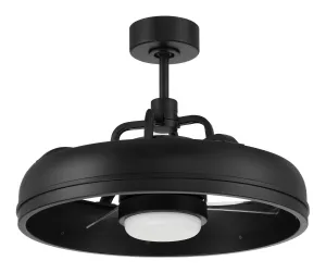 Craftmade Taylor 24" Smart Indoor/Outdoor DC Fandelier Ceiling Fan with Remote Outdoor Ceiling Fans discount