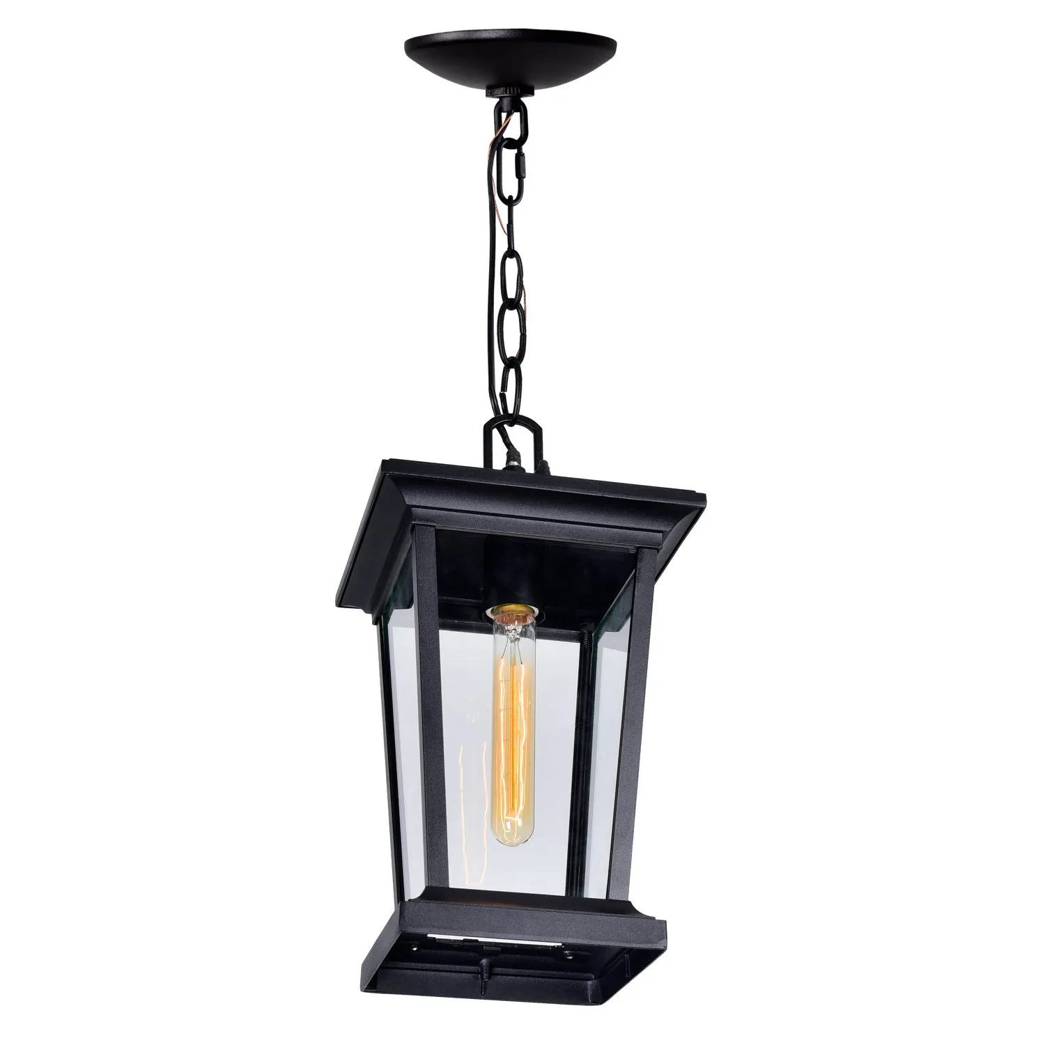 CWI Lighting One Light Outdoor Hanging Pendant