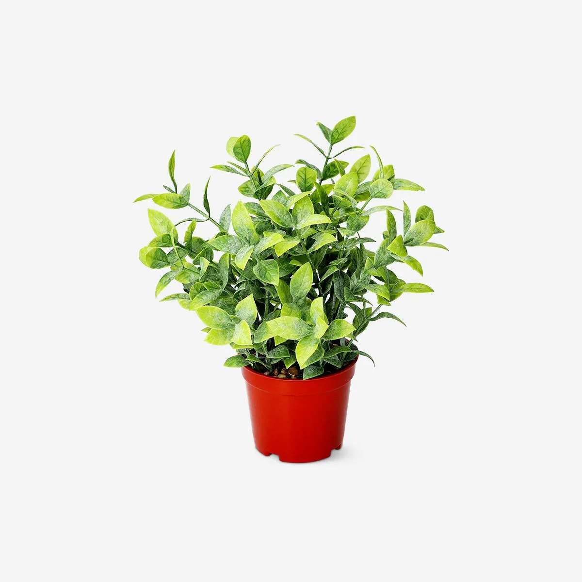 Decorative artificial plant
