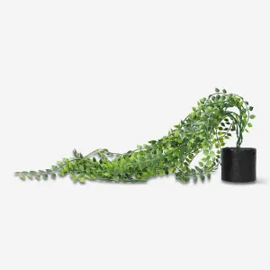 Decorative hanging plant Home Decor clearance sale