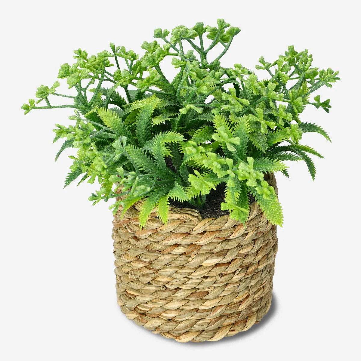 Decorative plant Home Decor clearance sale