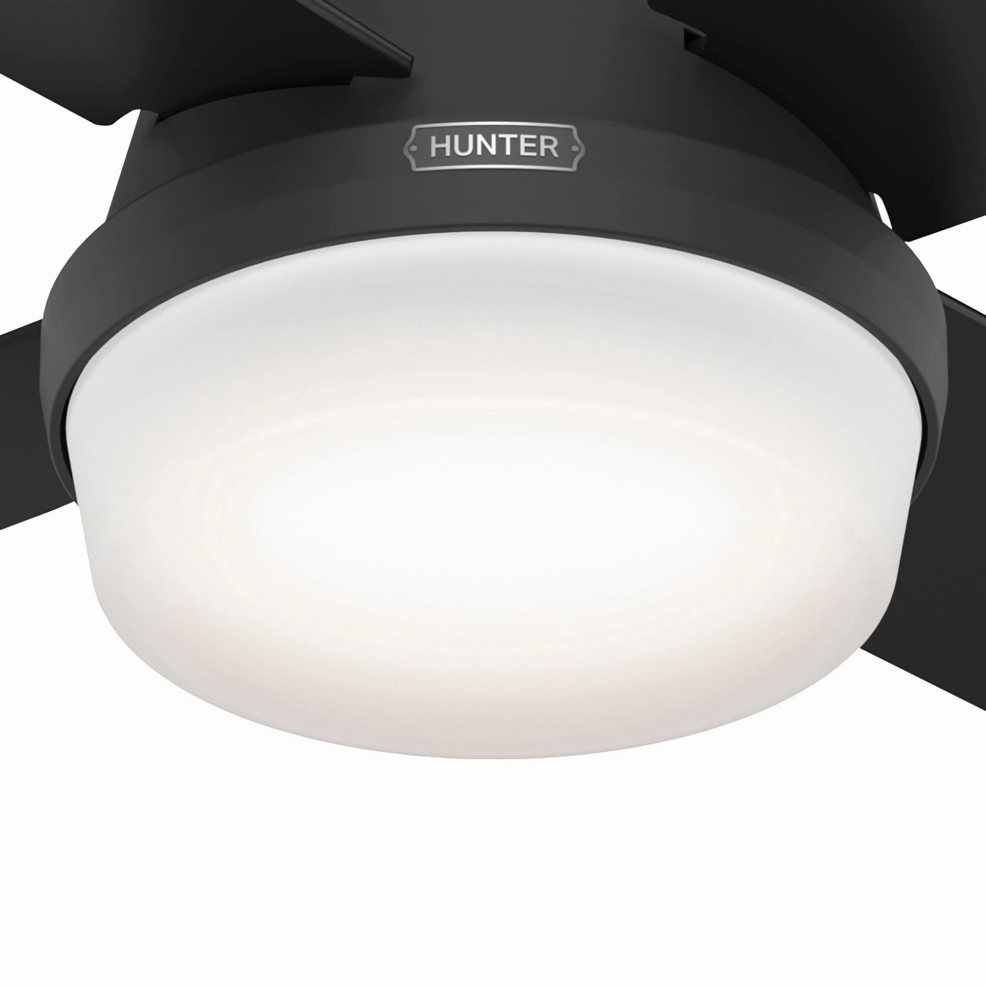 Dempsey 44"Ceiling Fan Matte Black Mini Ceiling Fans promo