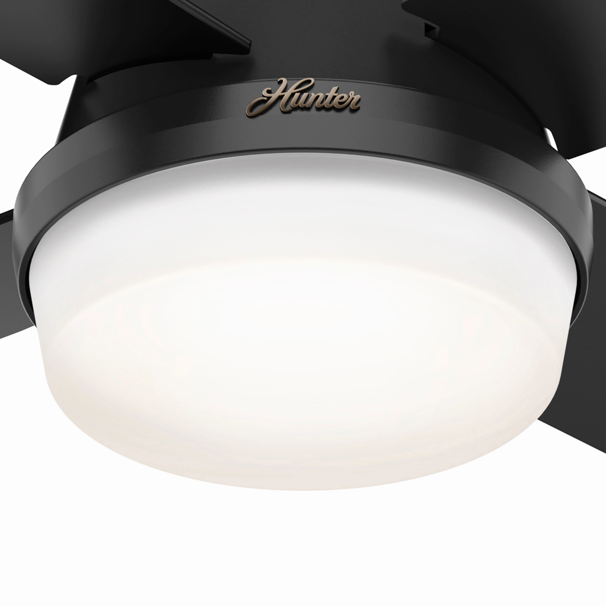 Dempsey 44"Ceiling Fan Matte Black Small Fans for less