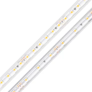 Diode Led Lighting DI-12V-BLBSC2-30-W100  Strip Light Decor White Affordable Accent Lighting
