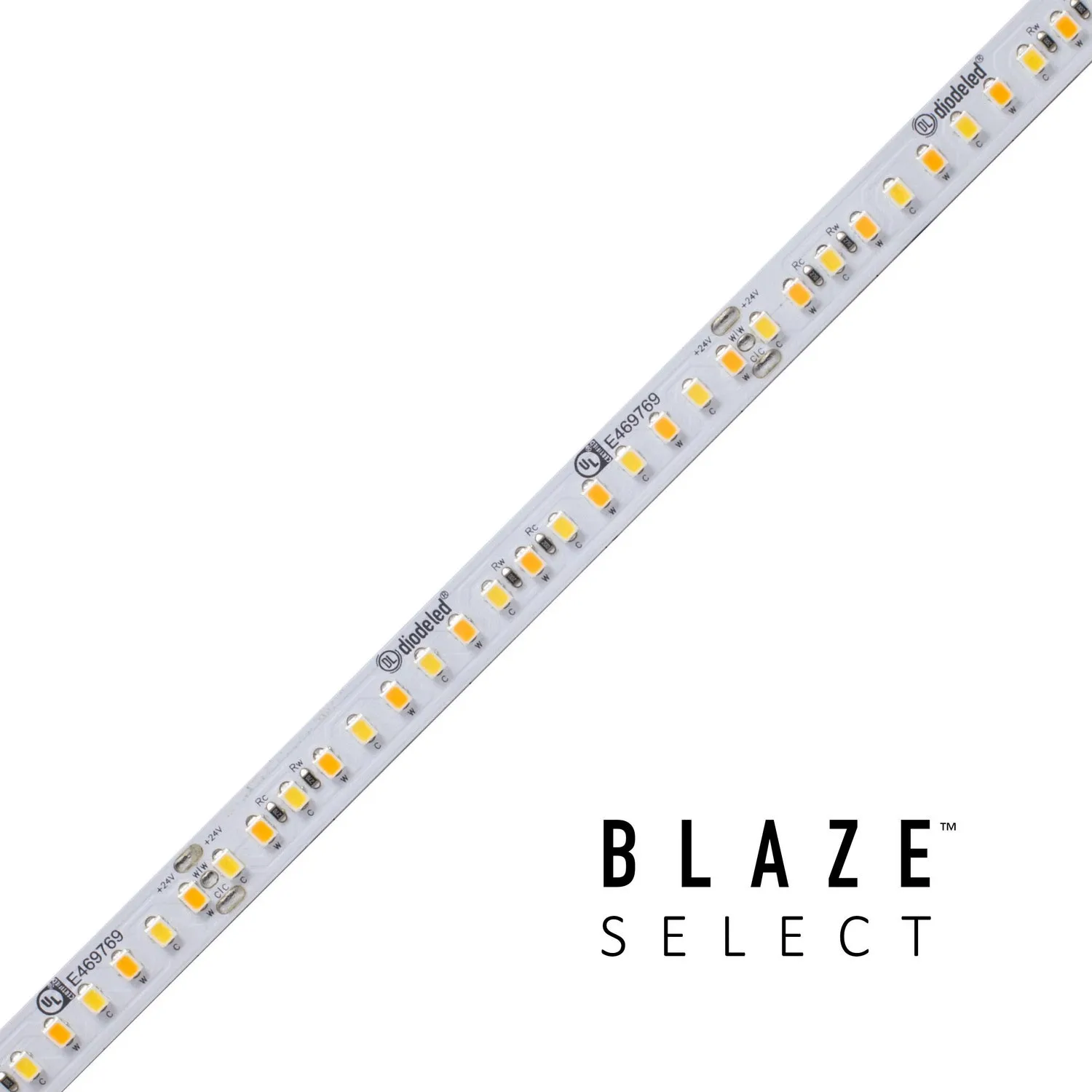 Diode Led Lighting DI-24V-BLSEL-TW2460-100  Led Tape Light Decor White Accent Lighting outlet store