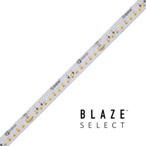 Diode Led Lighting DI-24V-BLSEL-TW2460-100  Led Tape Light Decor White Accent Lighting outlet store