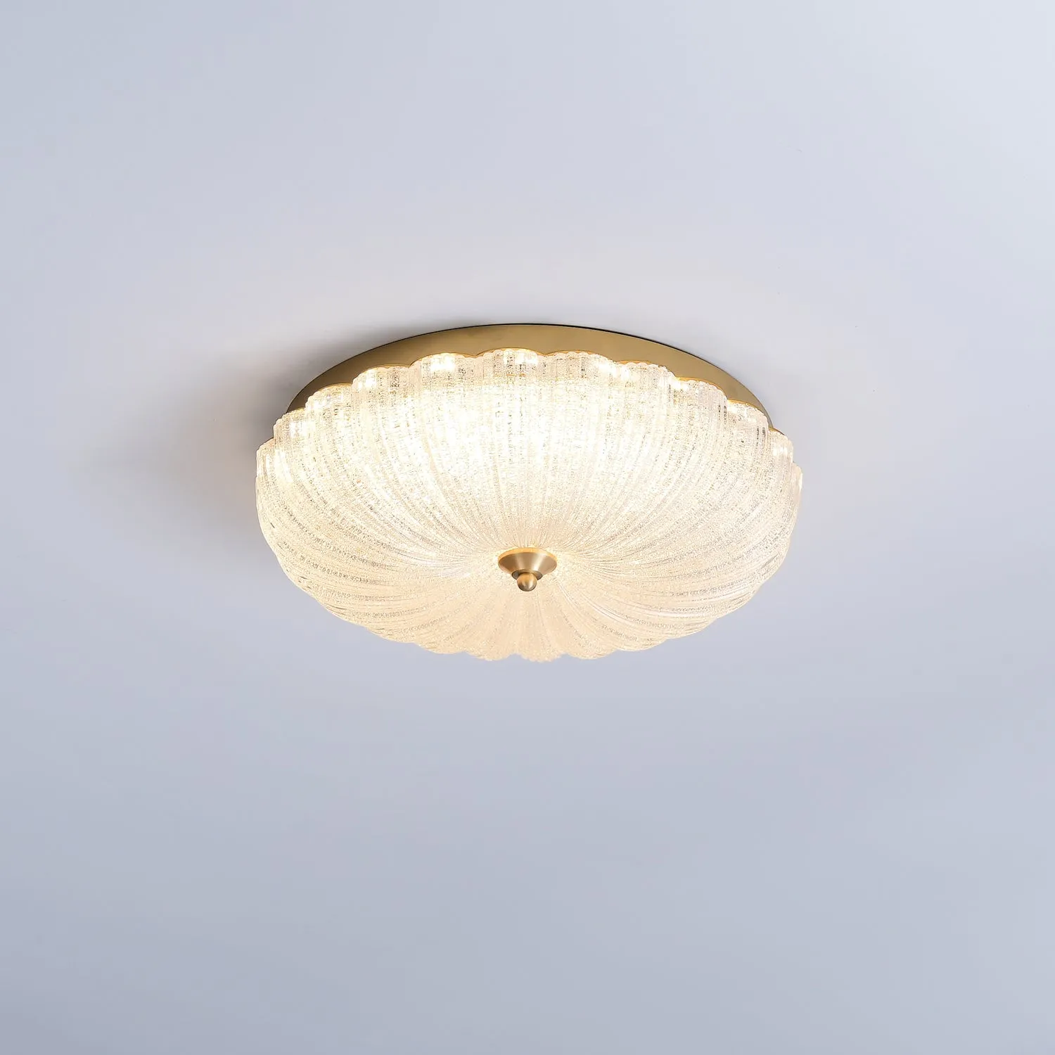 Enchanting Ceiling Light