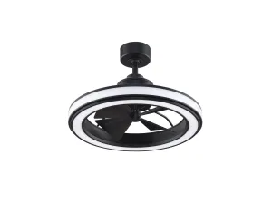 Fanimation 16" Gleam Indoor/Outdoor Fandelier Ceiling Fan with 20W LED Light and Remote Control Outdoor Ceiling Fans discount