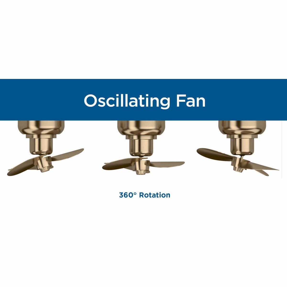 Fanin Ceiling Fan Matte Black Fandeliers at discount prices