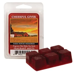 Farmhouse Memories Wax Melts Festive Decor online outlet