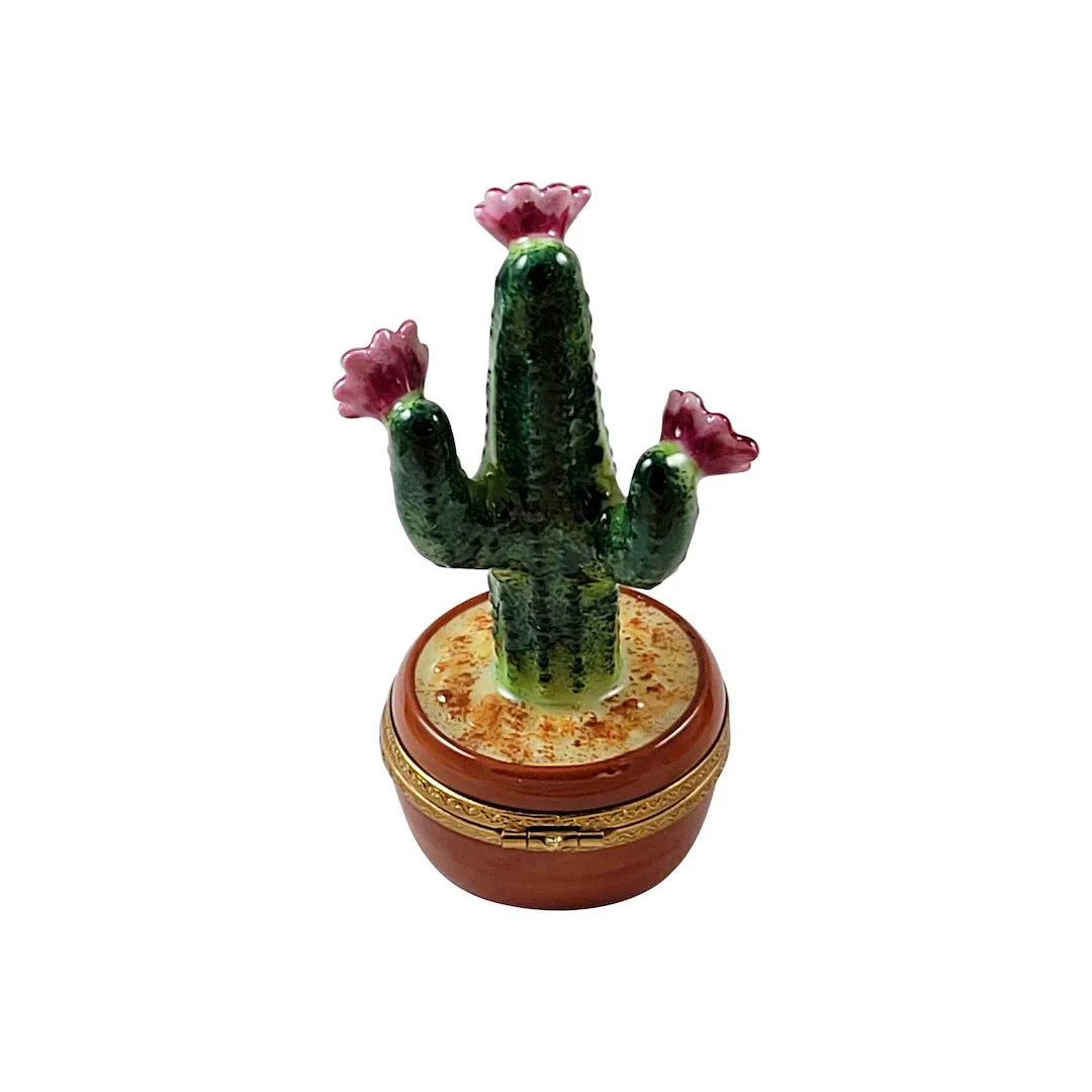 Flowering Cactus Limoges Limoges Boxes collectors shop