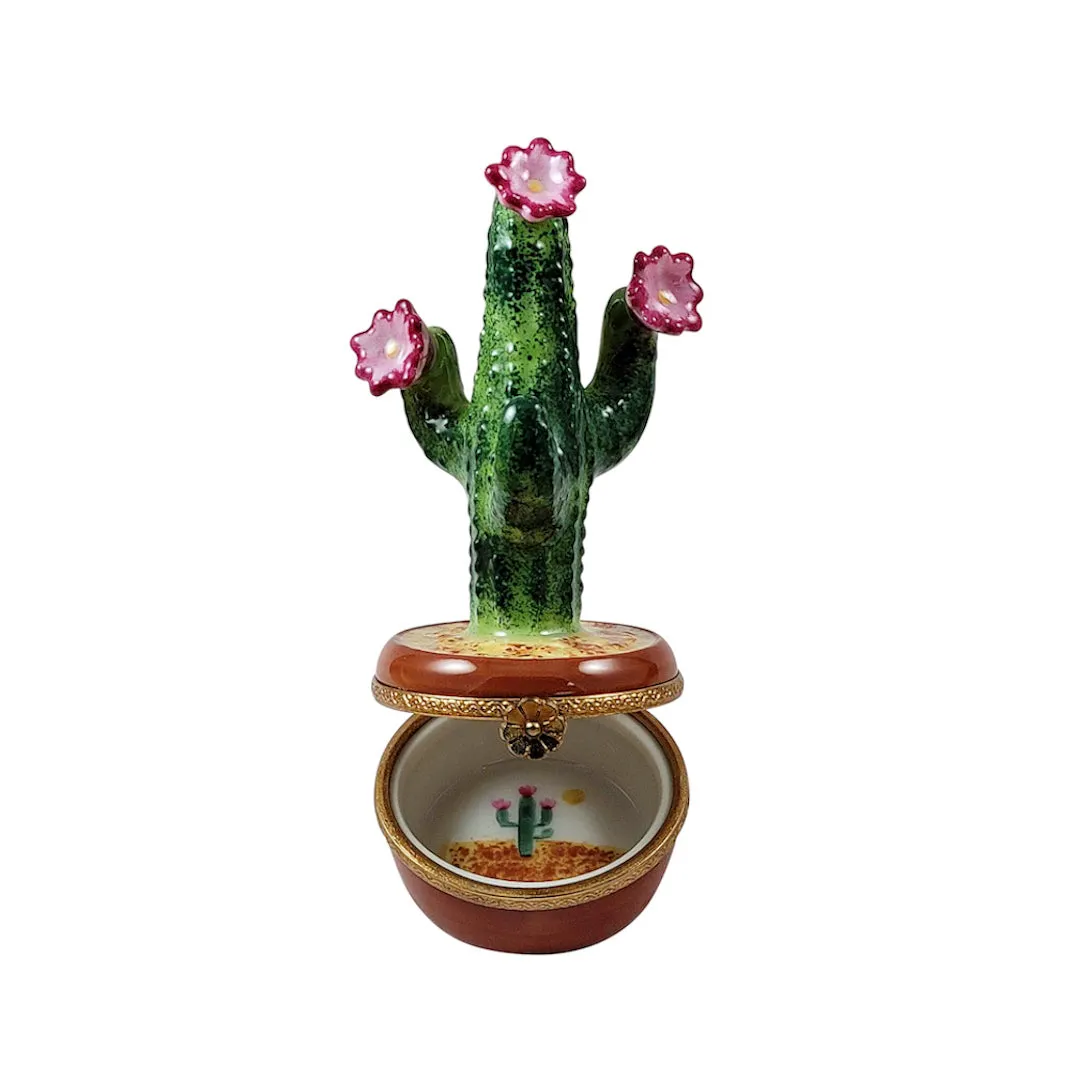 Flowering Cactus Limoges Limoges Boxes collectors shop
