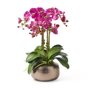 Fuchsia Orchids in Bronze-Glazed Pot Artificial Flowers Spring Refresh